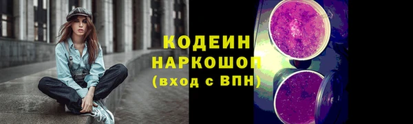 прущий лед Лагань