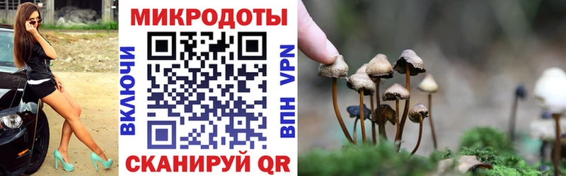 Галлюциногенные грибы Magic Shrooms  цена наркотик  Уфа 